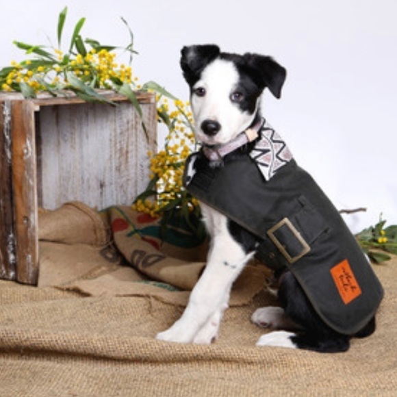 Outback Tails Oilskin Dog Coat Vaughan Springs Medium - Picture 1 of 11